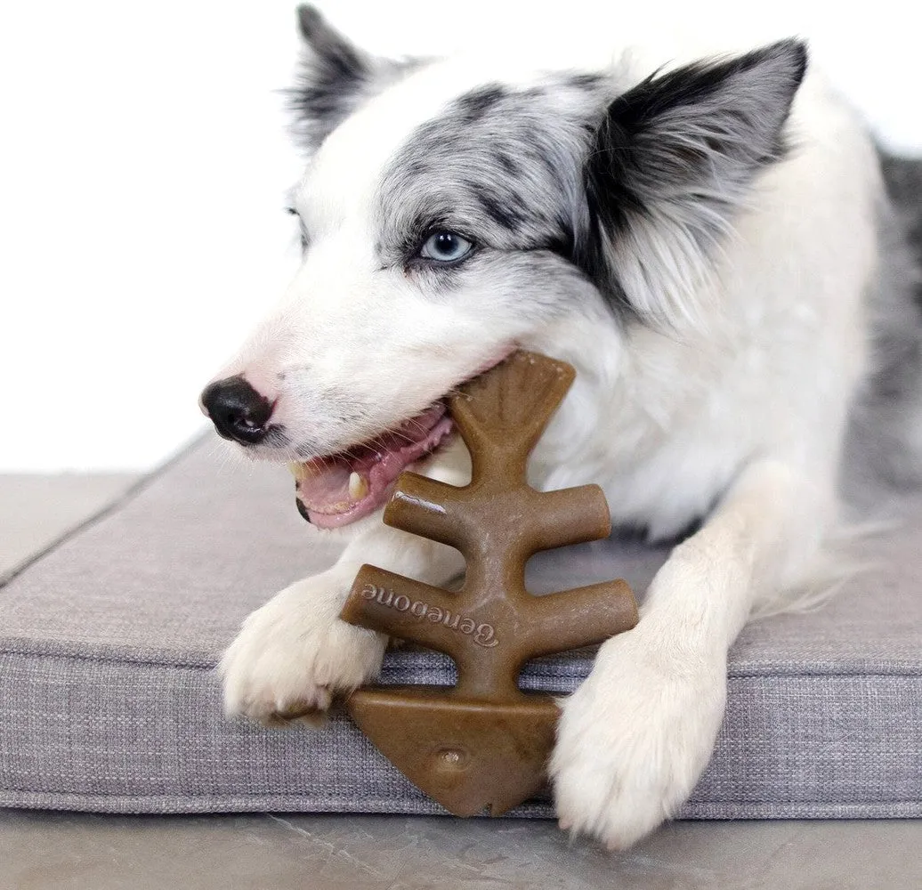 Benebone Fish Bone Real Jack Salmon Flavor Dog Chew Toy