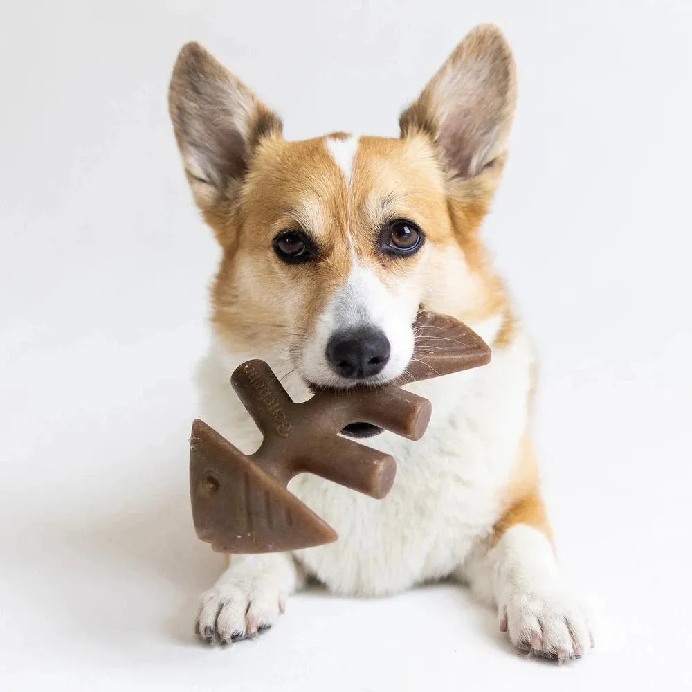 Benebone Fish Bone Real Jack Salmon Flavor Dog Chew Toy