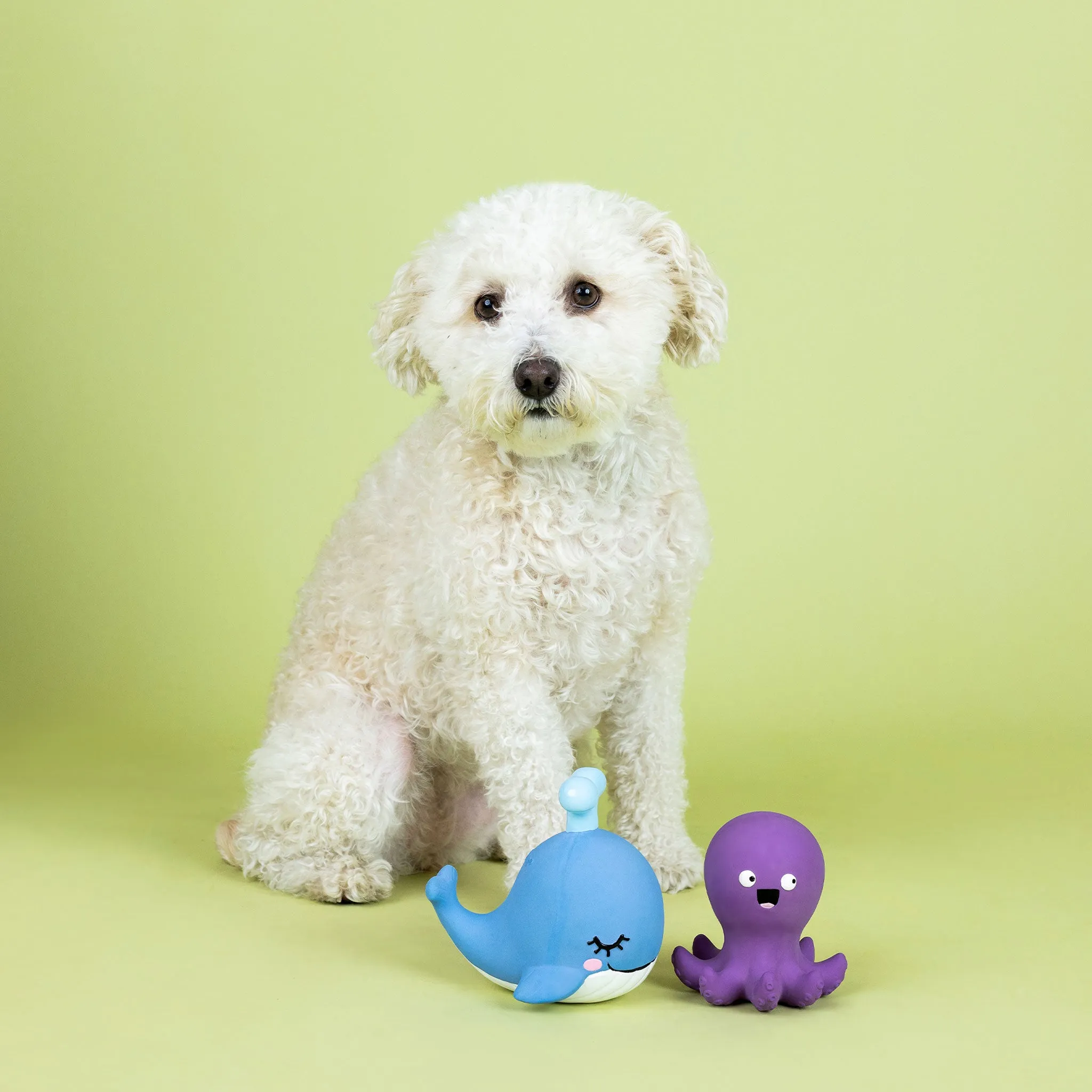 Fringe Happy to Sea You Dog Toys