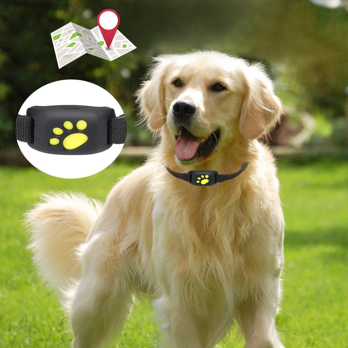 GPS Pet Tracker Cat Locator Device
