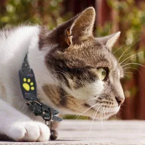 GPS Pet Tracker Cat Locator Device