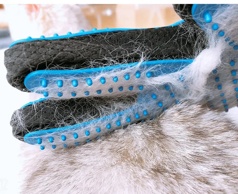 Grooming  Massage Glove