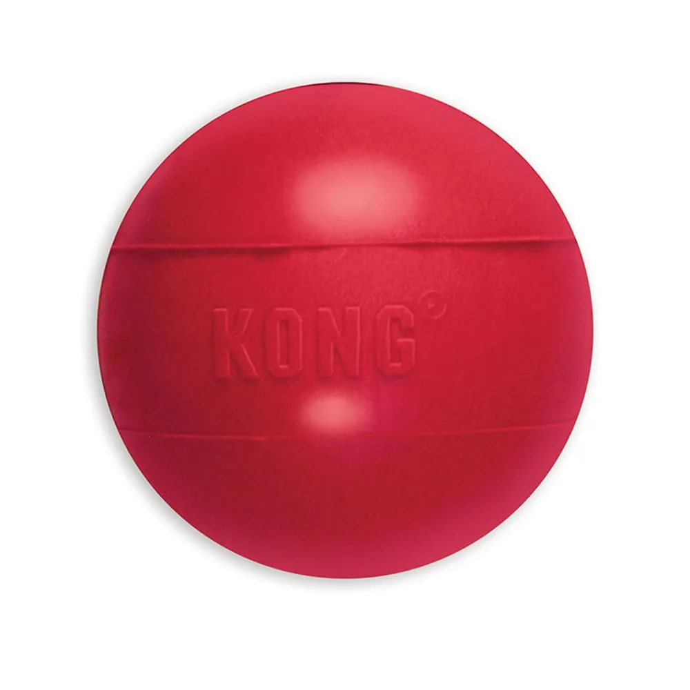 KONG Ball Dog toy - Size Medium/Large