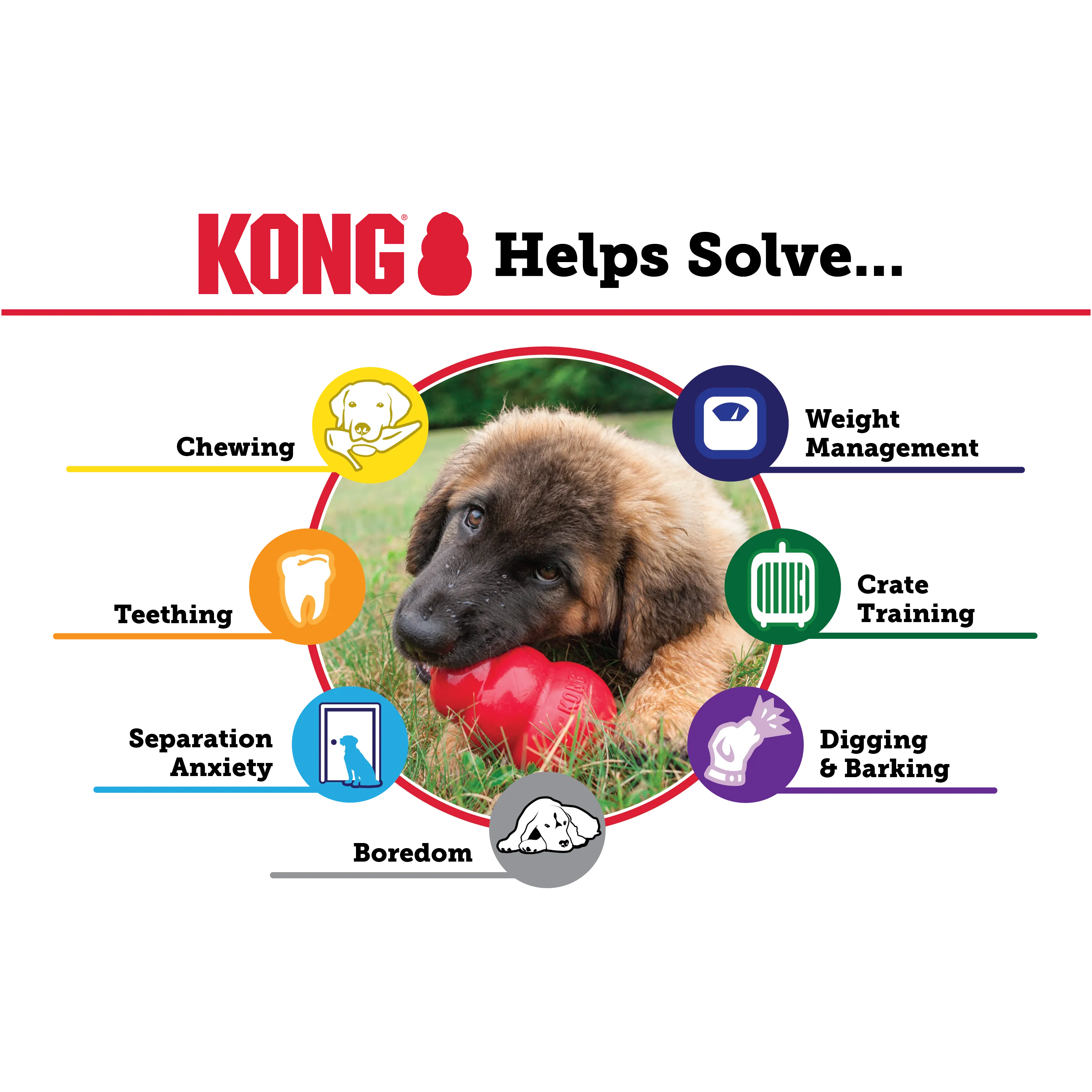 Kong Extreme Rubber Chew Toy