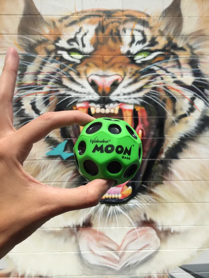Moon Ball Gravity Defying Bouncy Ball / Click for Full Selection
