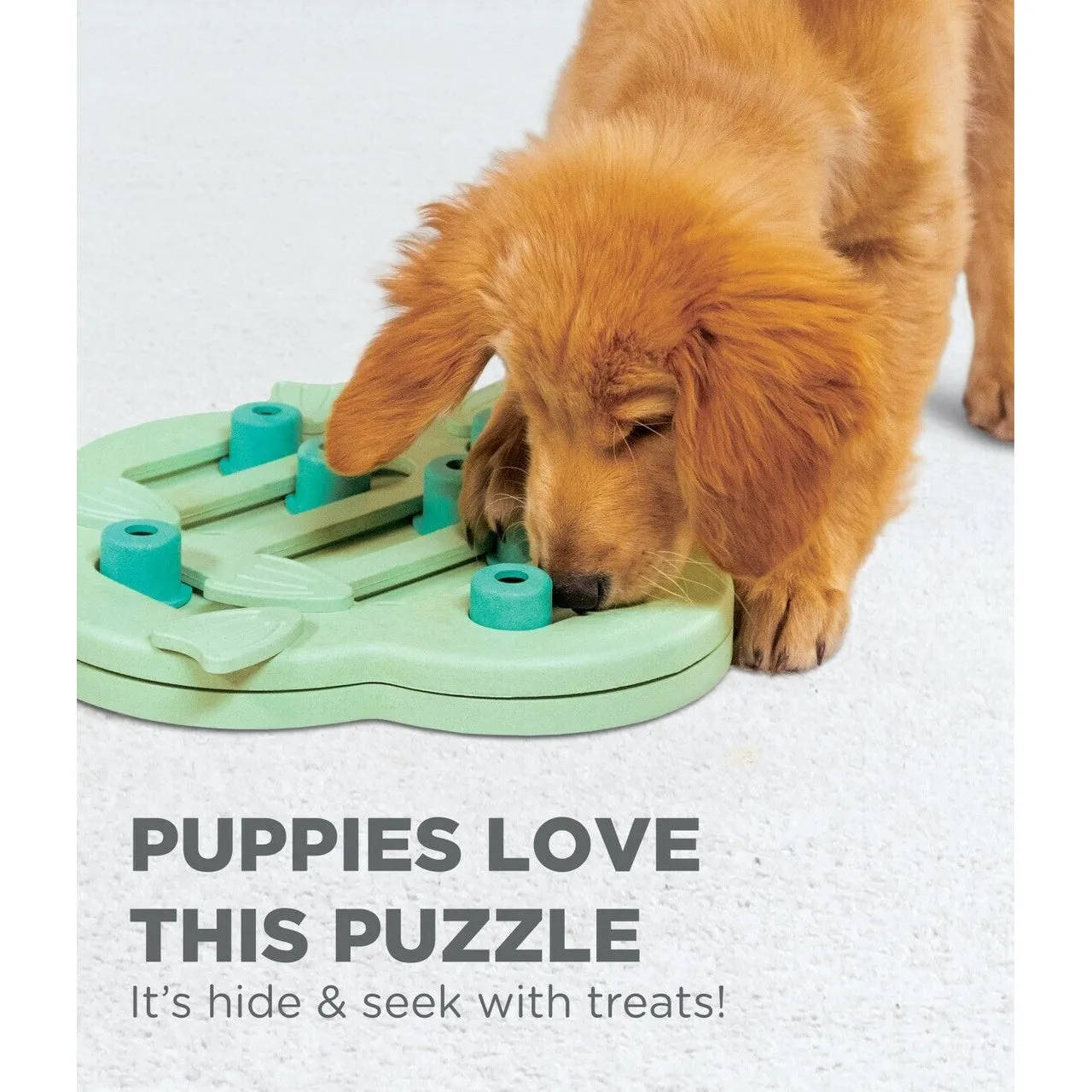 Nina Ottosson Hide and Slide Interactive Puzzle Dog Toy for Puppies^^^