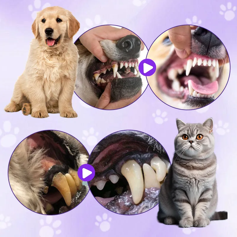 Pet Toothbrush Pen for Cleaning