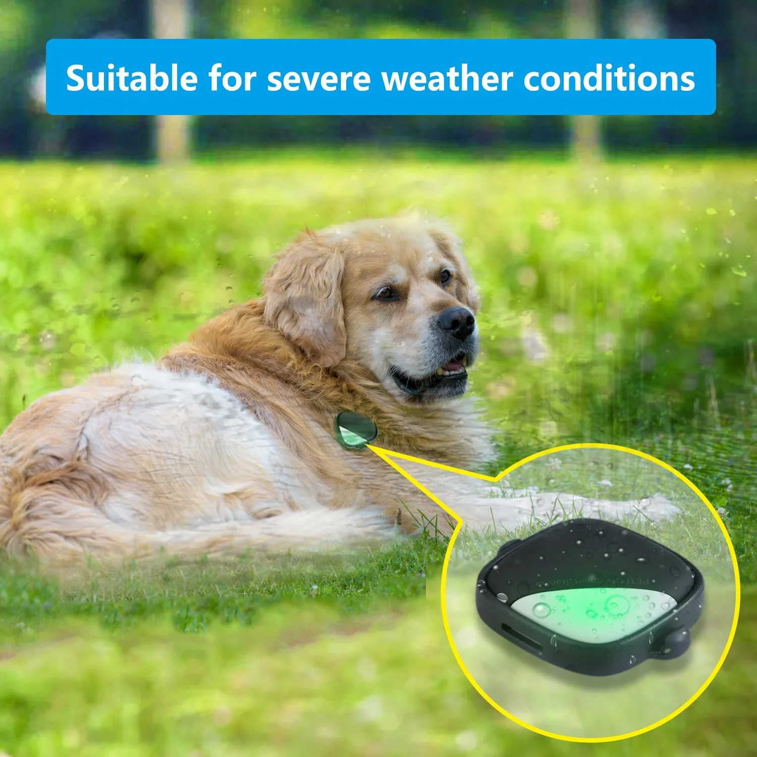 PETFON2  (Smart tracker for 1 dog)
