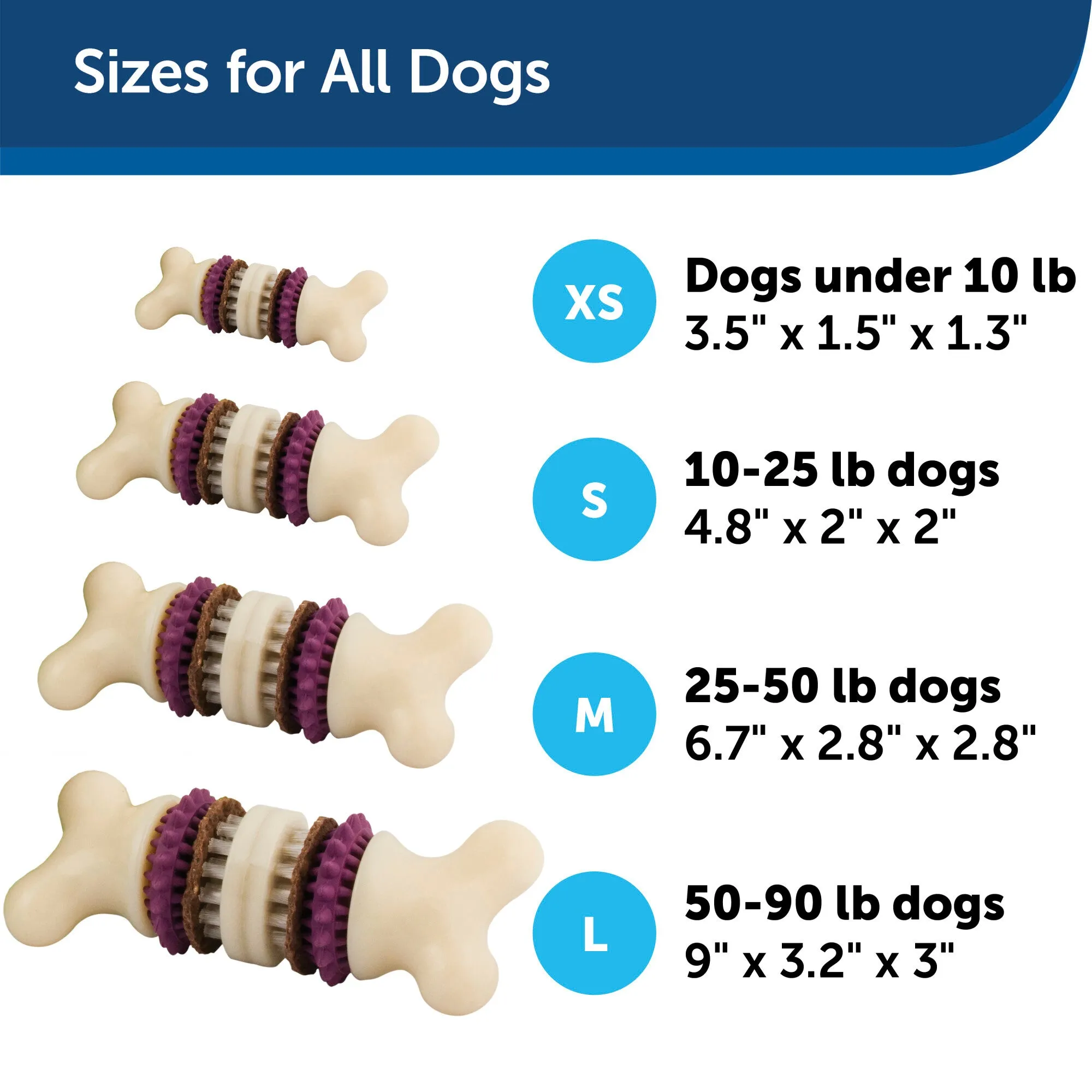 PetSafe Busy Buddy Bristle Bone - Small