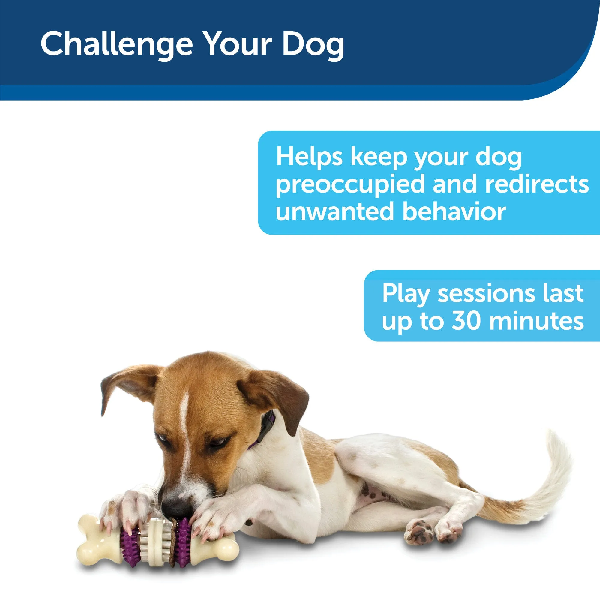 PetSafe Busy Buddy Bristle Bone - Small