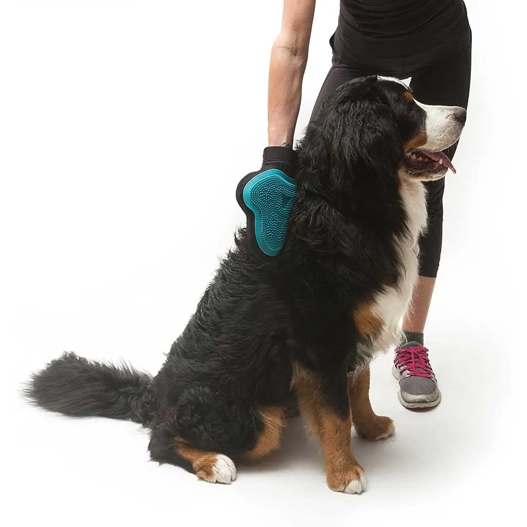 Reversible Silicone Grooming Glove