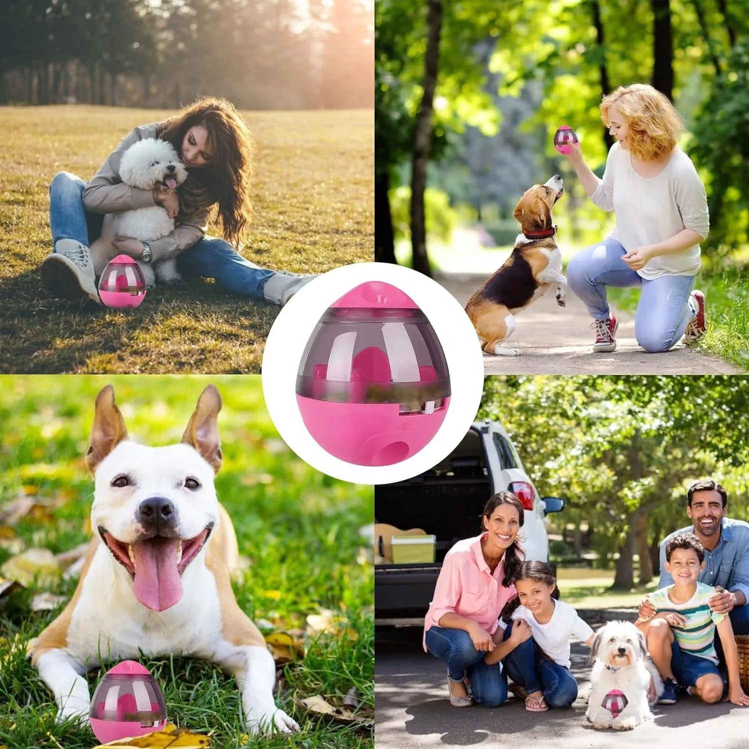 Tumbler Pet Toy