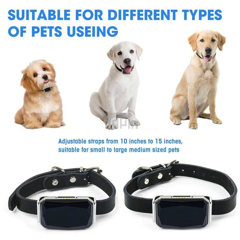 Waterproof GPS Collar