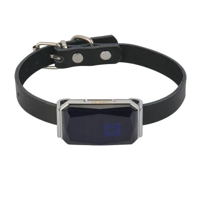 Waterproof GPS Collar