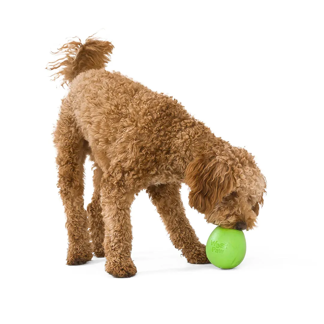 West Paw Rumbl Puzzle